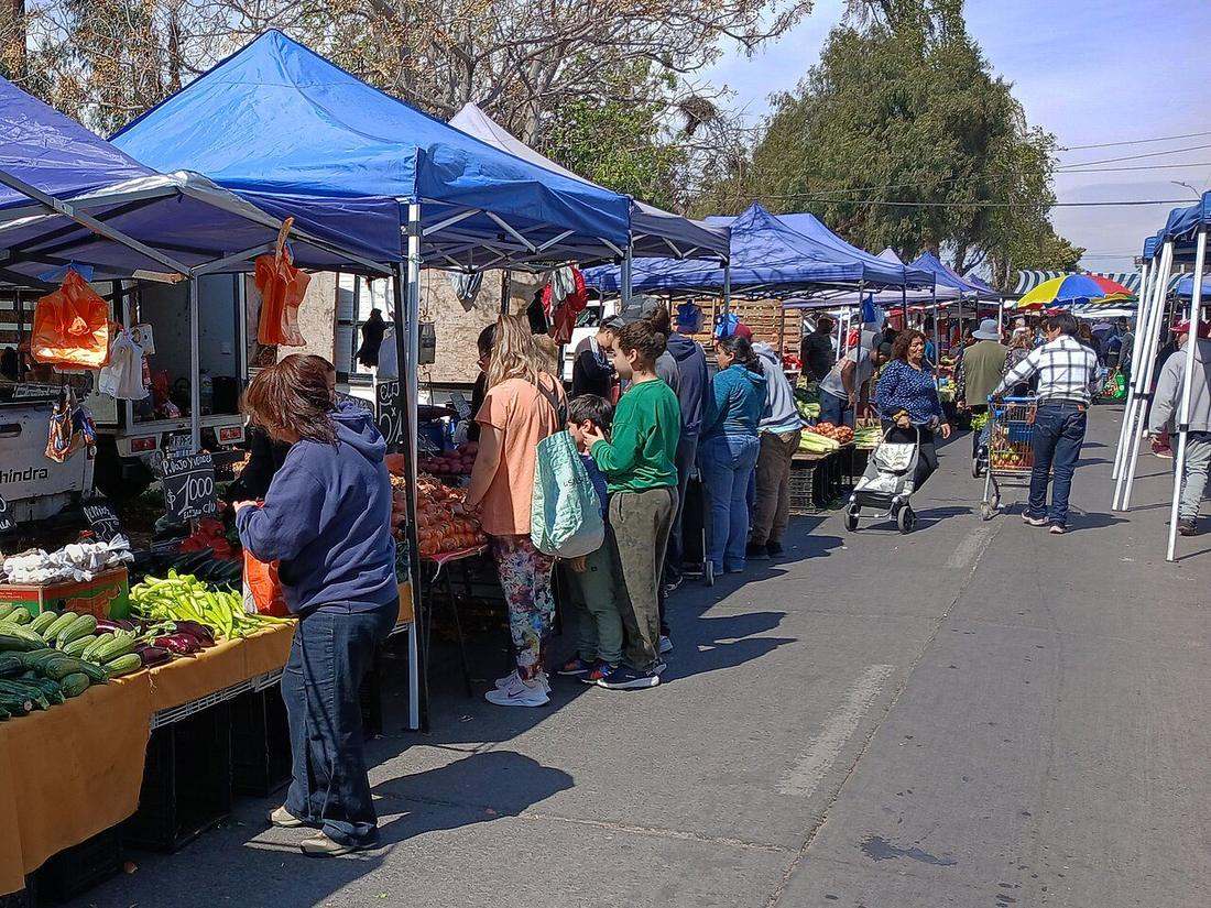 Feria libre en Santiago